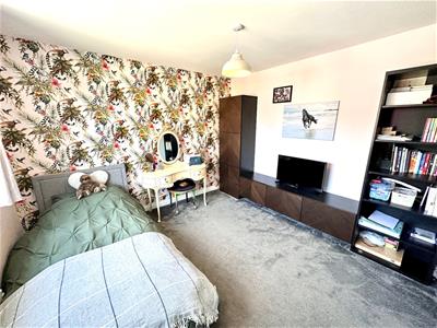 Picture 20